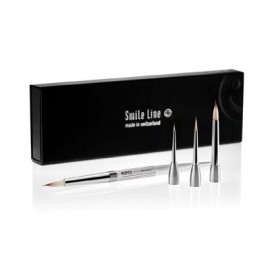KIT DE PINCELES RSPCT (4500-RSPCT-ASST)