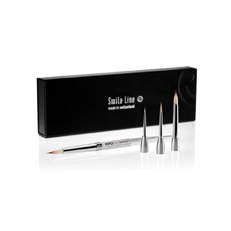 KIT DE PINCELES RSPCT (4500-RSPCT-ASST)