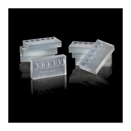MOLDE DE SILICON PARA CARILLAS ANTERIOR (8 PZAS) (2111)