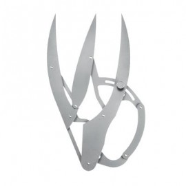 KIT DIVISOR PARA PROPORCION DE ORO (6010)