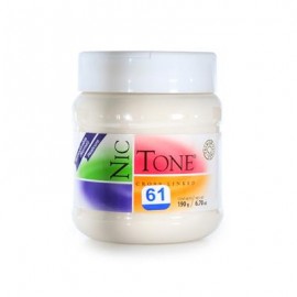 ACRILICO NORMAL NICTONE 61 190GR