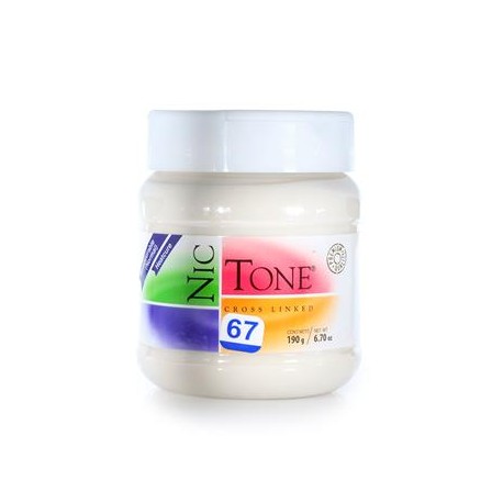 ACRILICO NORMAL NICTONE 67 190GR