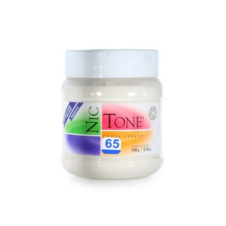 ACRILICO NORMAL NICTONE 65 190GR