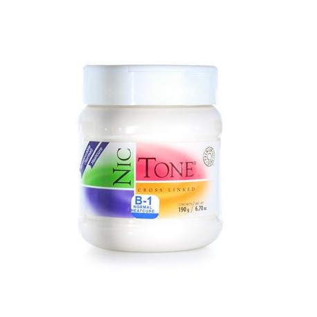 ACRILICO NORMAL NICTONE B1 190GR