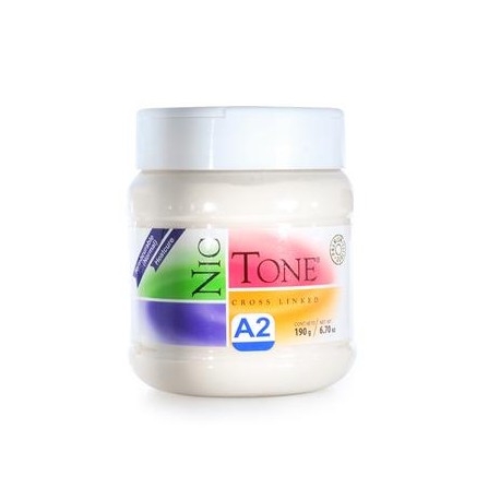 ACRILICO NORMAL NICTONE A2 190GR