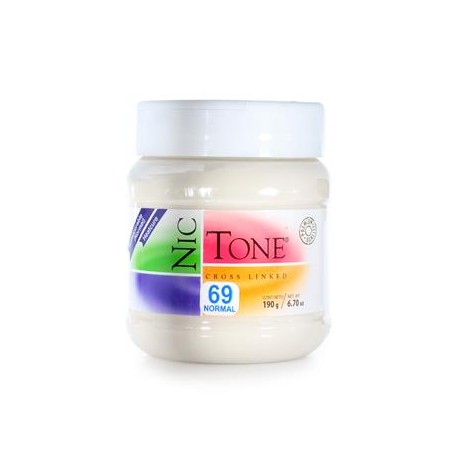 ACRILICO NORMAL NICTONE 69 190GR