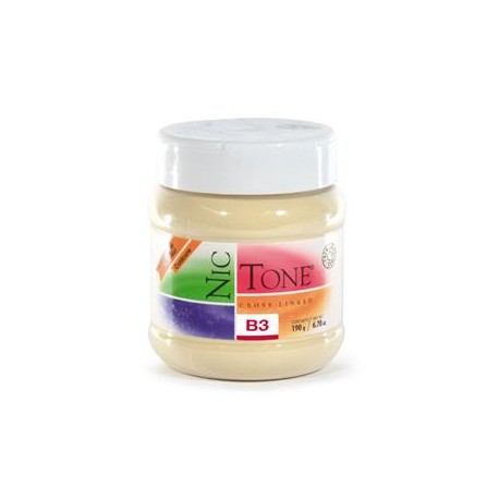 ACRILICO RAPIDO NICTONE B3 190GR