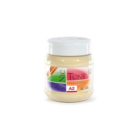 ACRILICO RAPIDO NICTONE A2 190GR