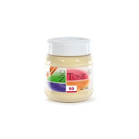 ACRILICO RAPIDO NICTONE 69 190GR