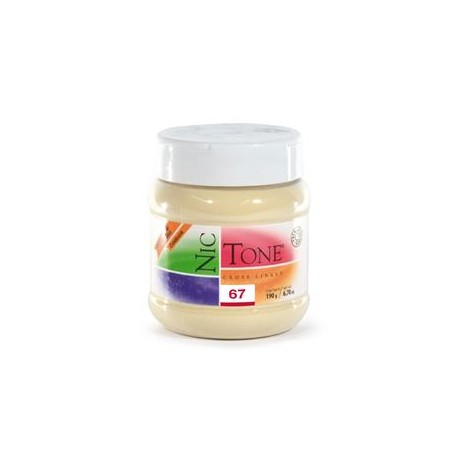 ACRILICO RAPIDO NICTONE 67 190GR