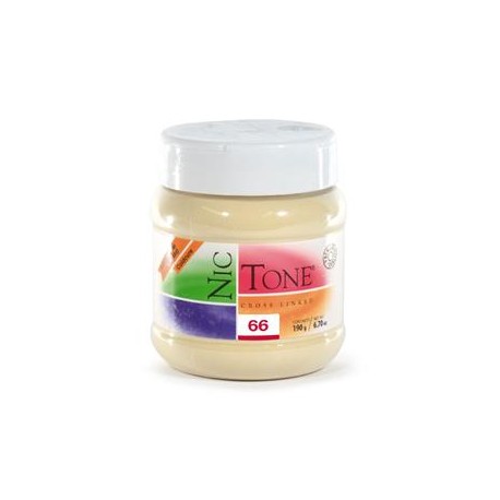 ACRILICO RAPIDO NICTONE 66 190GR