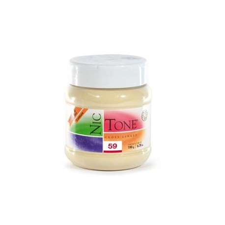 ACRILICO RAPIDO NICTONE 59 190GR