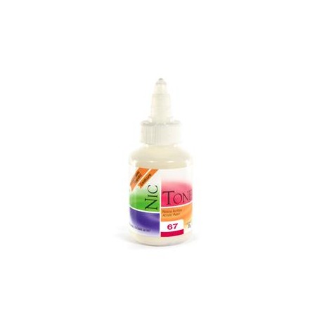 ACRILICO RAPIDO NICTONE 67 35GR