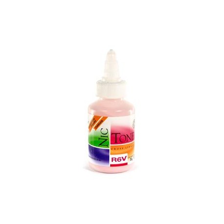 ACRILICO RAPIDO NICTONE R6V 35GR