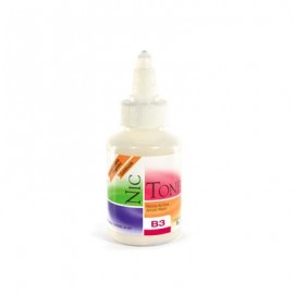ACRILICO RAPIDO NICTONE B3 35GR