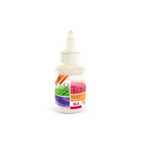 ACRILICO RAPIDO NICTONE B3 35GR