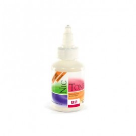 ACRILICO RAPIDO NICTONE B2 35GR