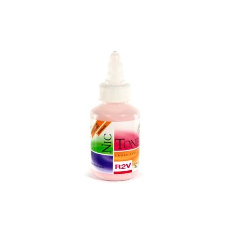 ACRILICO RAPIDO NICTONE R2V 35GR
