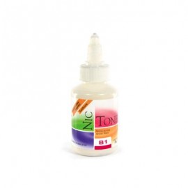 ACRILICO RAPIDO NICTONE B1 35GR