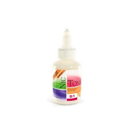 ACRILICO RAPIDO NICTONE B1 35GR