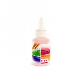 ACRILICO RAPIDO NICTONE R1V 35GR